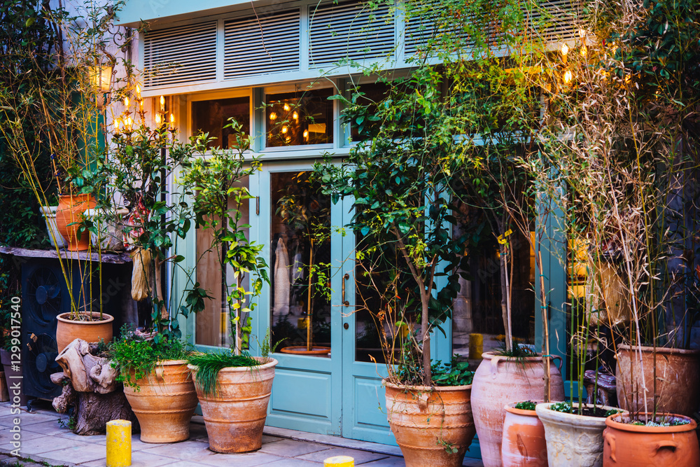 Different plants in pots near the entrance of a bar or a restaurant.