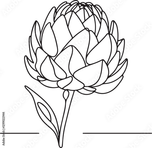 Simple and Elegant Artichoke Line Art Vector Illustration