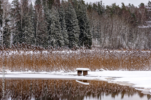 Wallpaper Mural romantic landscape with a lonely, snowy bench on the shore of a lake, a charming winter day Torontodigital.ca