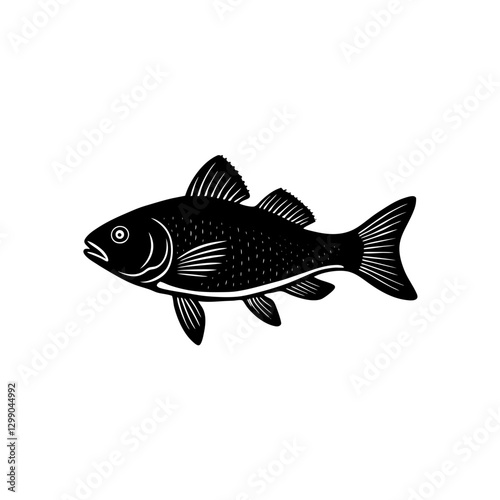 fish vector illustration