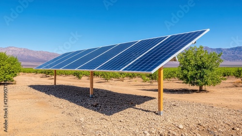 Sustainable Solar Energy Array In Arid Agricultural Setting