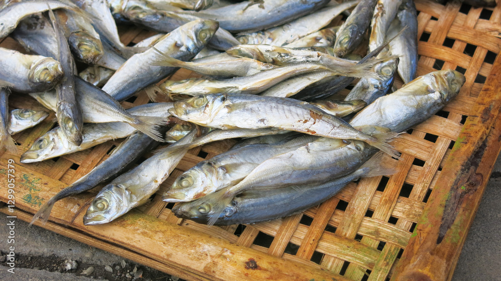 fishes are being dried directly under sunlight on a traditional wooden bamboo tray. preserved fish by drying and salting method. traditional seafood drying in fisherman village. fishes are being dried directly under sunlight on a traditional wooden bamboo tray. preserved fish by drying and salting method. traditional seafood drying in fisherman village.