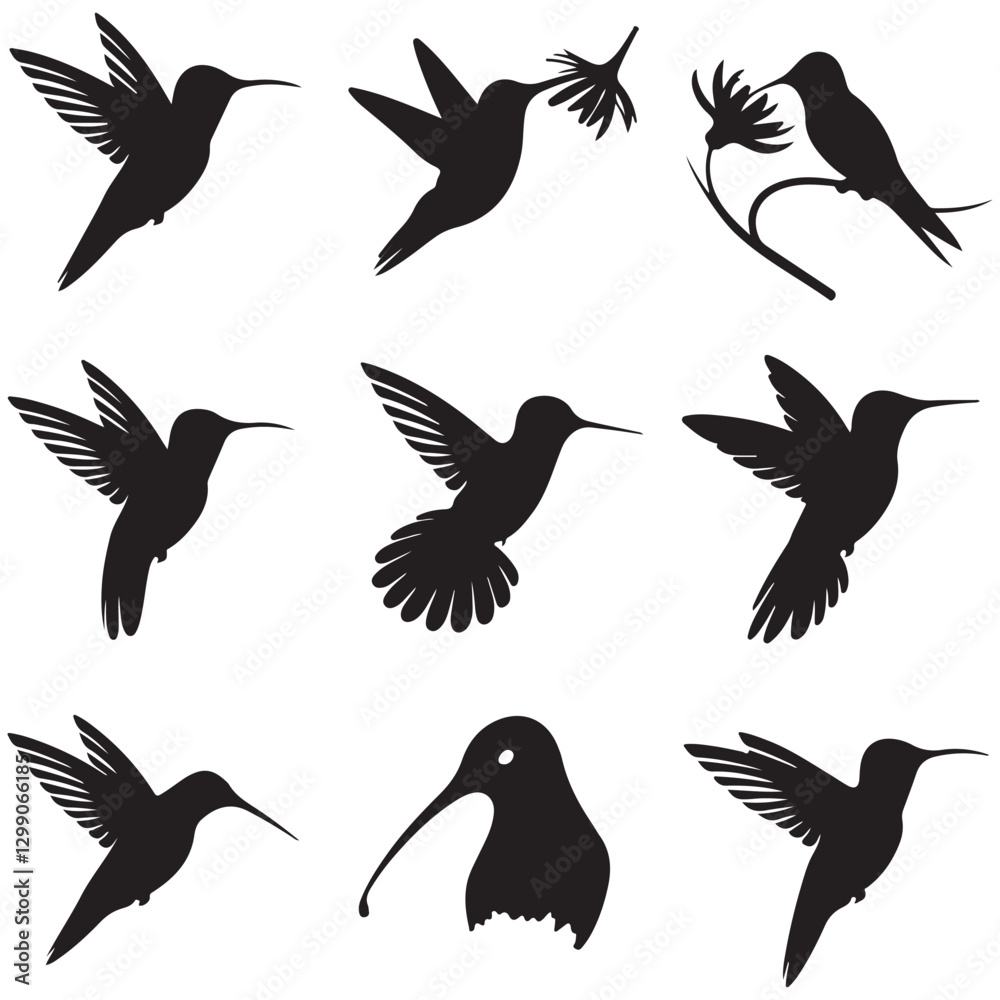 Obraz premium Black silhouette illustration of a kingfisher bird animal. kingfisher line art vector art illustrationkingfisher icon silhouette illustration with white background