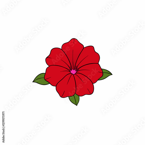 red hibiscus flower