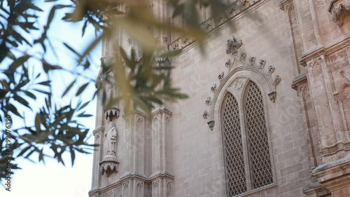 Wallpaper Mural view of the cathedral palm trees wind sways tree branches ancient architecture Palma de Mallorca Balearic Islands Spain Torontodigital.ca