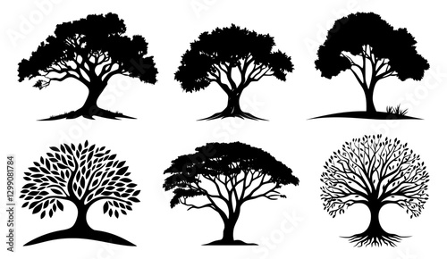 Set of black tree silhouettes on a white background. Vector illustration