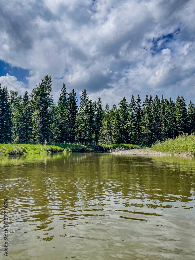 Obraz premium Forested riverbank with calm water and cloudy sky
