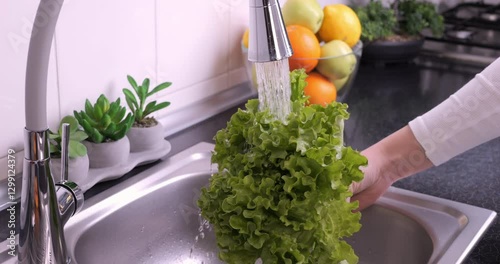 Woman hands washing a lettuce to prepare a fresh salad in the kitchen. Eating healthy raw organic food, vitamins, washing vegetables from pesticides concept. Slow motion 4k