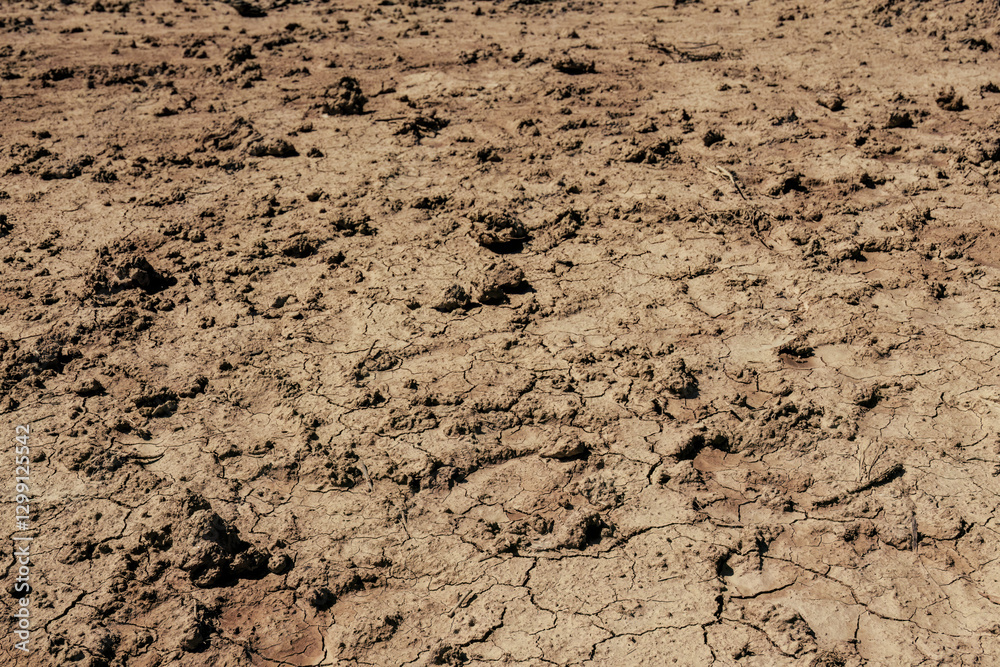 Macro photography of the texture of a dried soil, illuminated by the sun of the afternoon, in a farm near the colonial town of Villa de Leyva, in central Colombia. Macro photography of the texture of a dried soil, illuminated by the sun of the afternoon, in a farm near the colonial town of Villa de Leyva, in central Colombia.