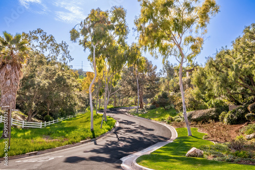 Obraz na płótnie Streets and Roads throughout Palos Verdes Estates in Southern California on a beautiful sunny day w salonie