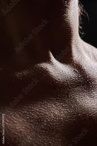 Piel 