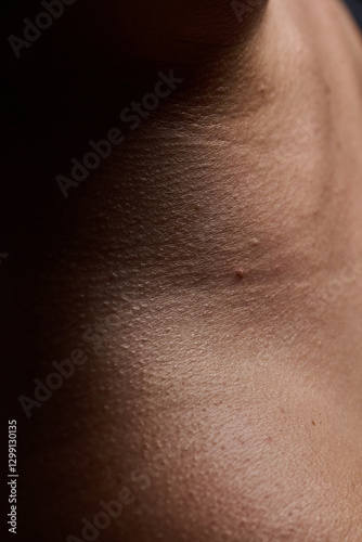 Piel 