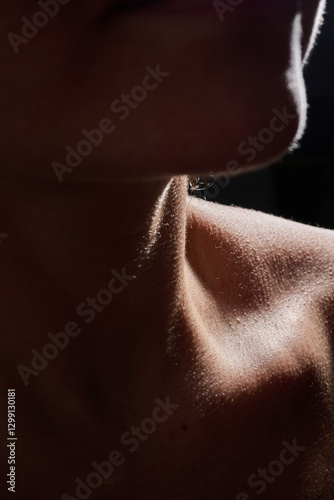 Piel 