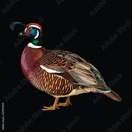 Guinea fowl Vector Illustration