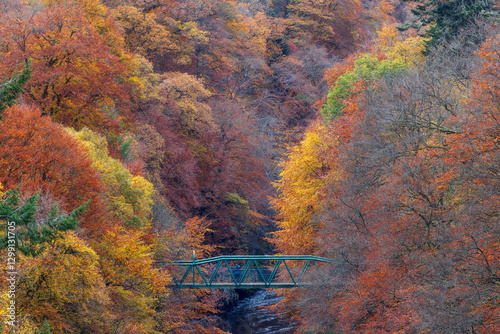 Принти на полотні Colorful Fall Foliage Enveloping the River Garry Footbridge in Killiecrankie, Pe
