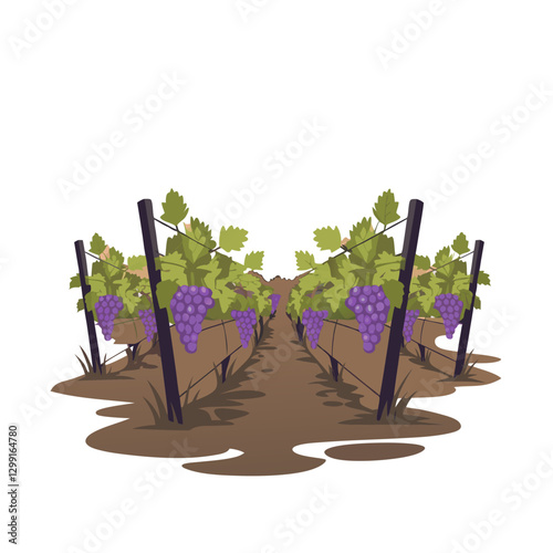 Vineyard Grape Vines with Bunches of Grapes in Lush Greenery for Agriculture and Wine Production