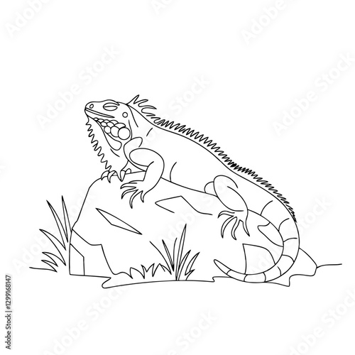 Detailed Iguana Line Art Vector Illustration on Rock