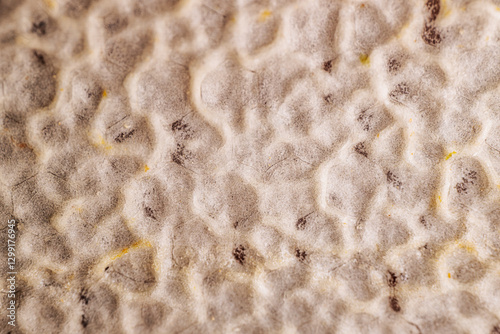 A close-up of a textured organic surface with a bumpy pattern and subtle color variations. The irregular shapes and soft details create an abstract and natural composition. photo