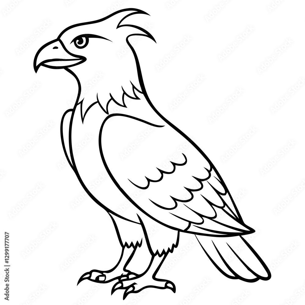 Fototapeta premium Majestic Eagle Outline Vector Art for Educational and Decorative Use