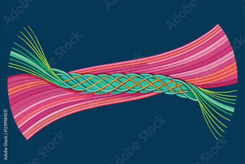 Illustration highlights myofibrils, focusing on the arrangement of thick and thin filaments inside muscle fibers, Myofibril with thin and thick filament,