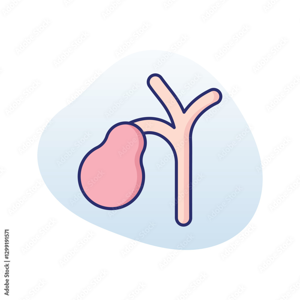 Gall Bladder vector icon Gall Bladder vector icon