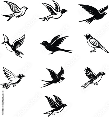 set of birds vector illustration