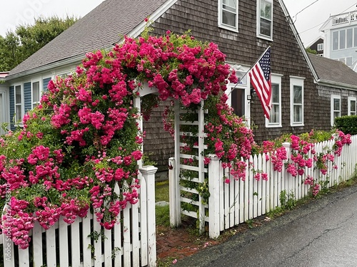 Blooming pink and red roses, cover an arbor entrance to a yard at a summer home on Cape Cod