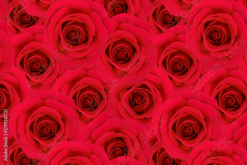 Pattern of Vivid Red Roses in Full Bloom