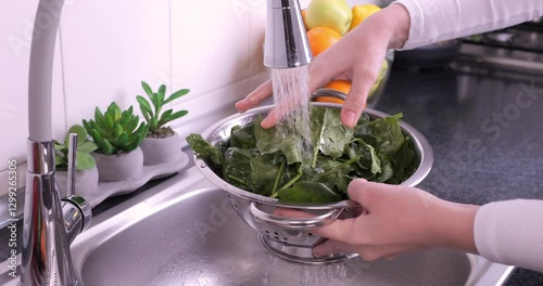 Woman hands washing fresh baby spinach in the kitchen. Eating healthy raw organic food, vitamins, washing vegetables from pesticides concept. Slow motion 4k