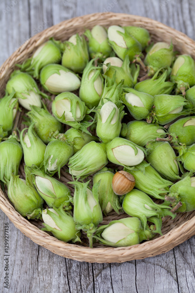 Hazelnut harvest - fresh, green hazelnuts on a gray wooden board background. Hazelnut harvest - fresh, green hazelnuts on a gray wooden board background.
