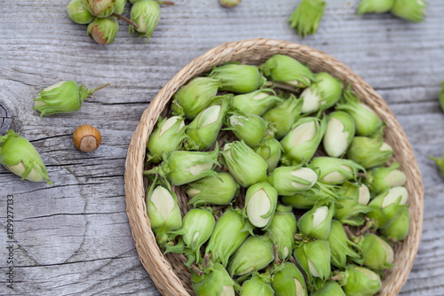 Hazelnut harvest - fresh, green hazelnuts on a gray wooden board background. photo