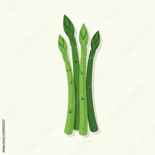 Vibrant green asparagus spears bundled together a fresh and healthy vegetable option Flat vector art style on isolated background