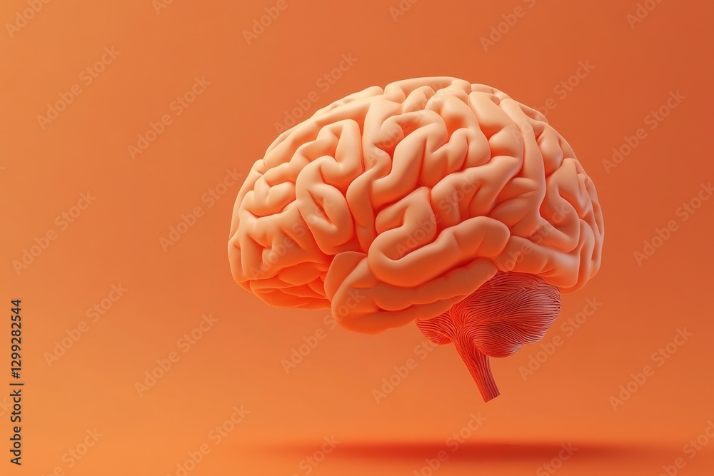 The human brain anatomical structure shown in detail on orange The human brain anatomical structure shown in detail on orange