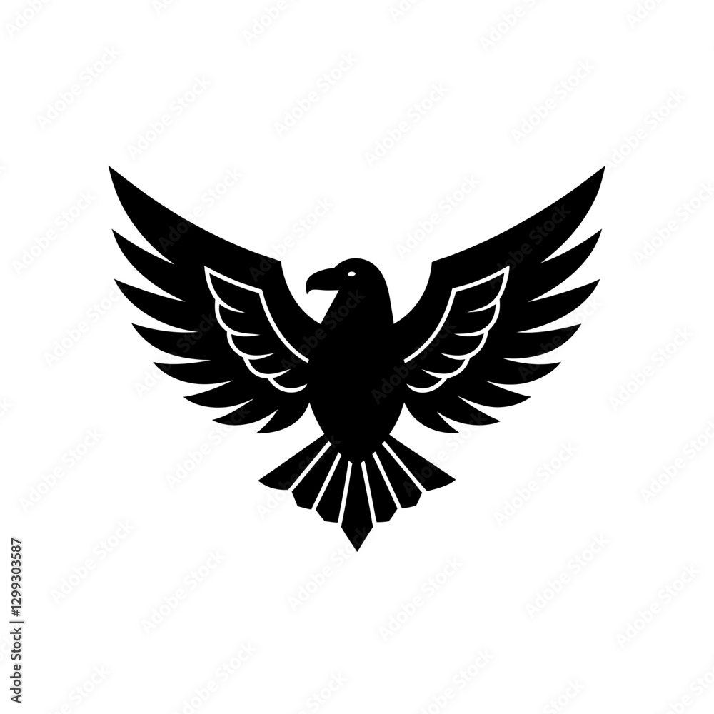 Obraz premium eagle with wings