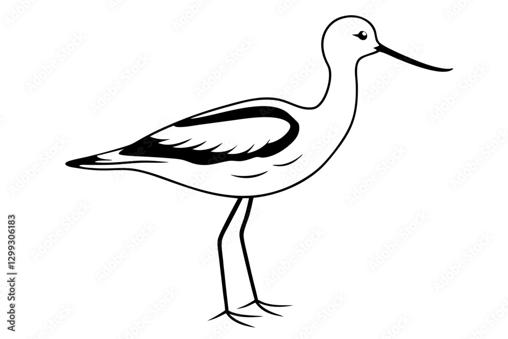 Obraz premium American Avocet Vector Art. Elegant Shorebird Illustration