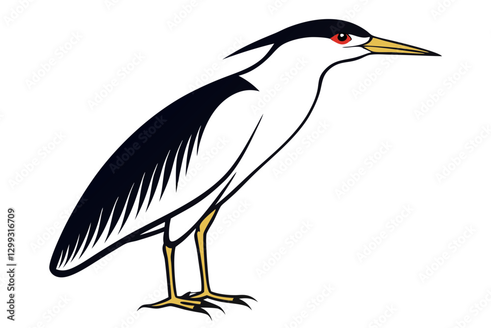 Fototapeta premium Stunning Black-crowned Night Heron Vector Design for Nature Lovers