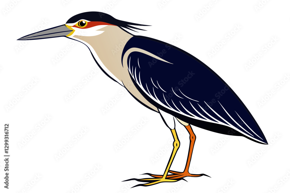 Fototapeta premium Stunning Black-crowned Night Heron Vector Design for Nature Lovers