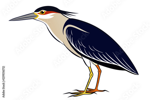 Stunning Black-crowned Night Heron Vector Design for Nature Lovers
