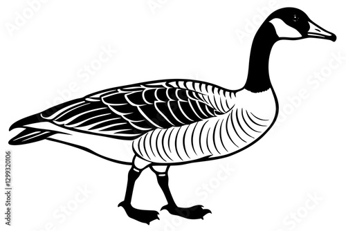 Elegant Canada Goose Vector Art for Wildlife & Nature Projects