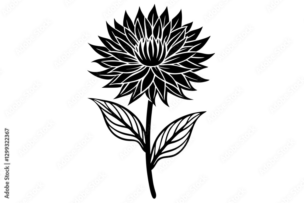 custom made wallpaper toronto digitalStunning Centaurea Vector Illustration for Nature Lovers
