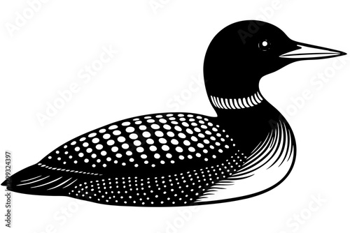 Stunning Common Loon Vector Illustration for Nature Enthusiasts