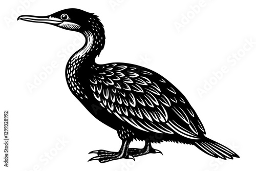 Stunning Double-Crested Cormorant Vector Illustration for Wildlife Lovers