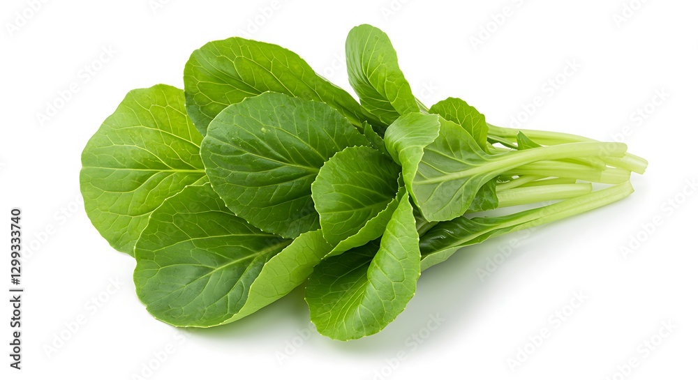 Fresh Bok Choy Leaves Studio Shot Food Photography High Resolution Fresh Bok Choy Leaves Studio Shot Food Photography High Resolution