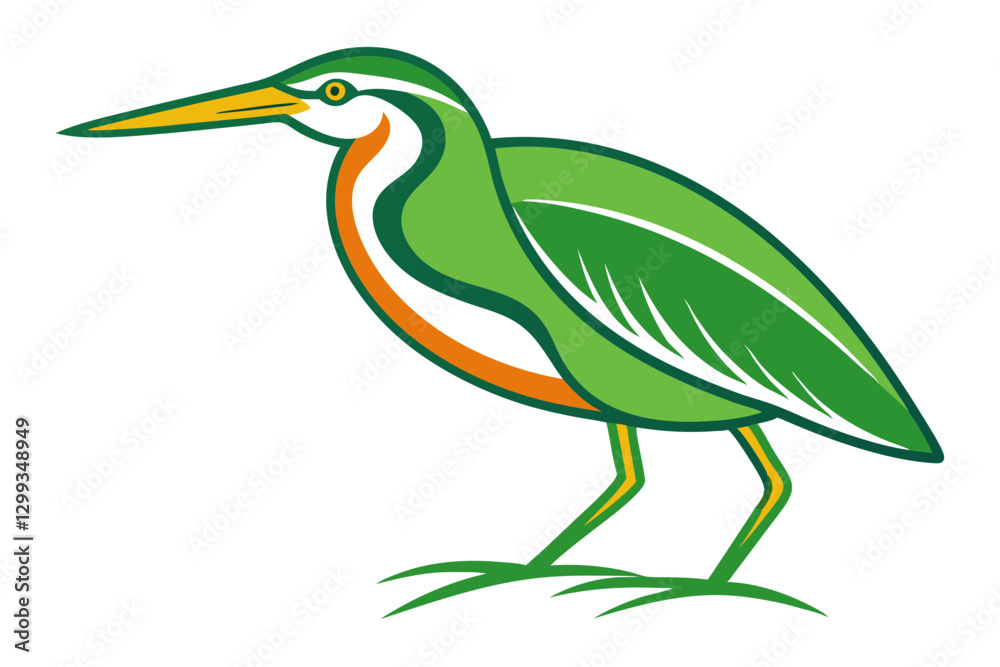 Obraz premium Beautiful Green Heron Vector Art – Perfect for Digital Design