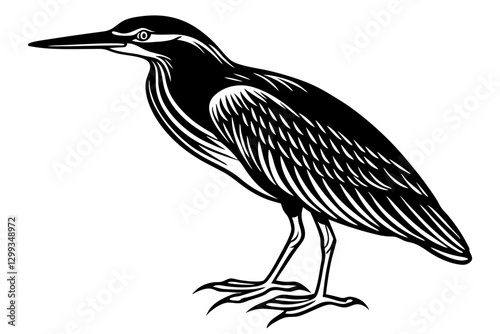 Beautiful Green Heron Silhouette Vector Art – Perfect for Digital Design