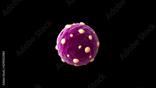 Biomedical animation of a hantavirus virion.
