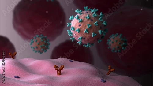 Biomedical animation of the Lassa virus attaching to a cell.