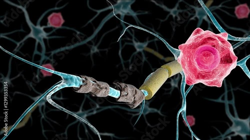 Biomedical animation showing multiple sclerosis healed by a T-cell.