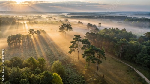 Sunrise Crepuscular Rays ov...
