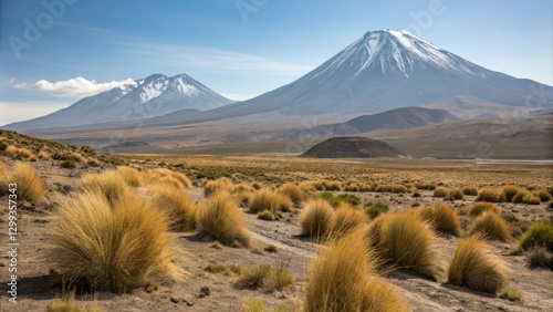 Andean Volcanic Landscape G...